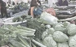 蔬菜市场调查报告
