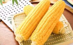 玉米交货储存合同