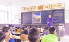 姜岭小学年度上学期教学工作计划
