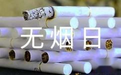 2016年世界无烟日活动计划