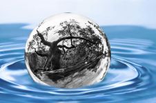 强化农村饮用水水源地水环境监测工作体会