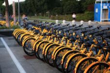 文明使用公共自行车和共享单车倡议书范文