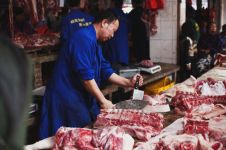 当前我县猪肉价格上涨的原因及对策建议的调研报告