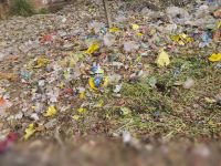 2020关于塑料袋污染的调查报告
