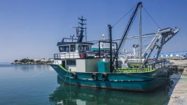 2019年渔业船舶检验处工作汇报提纲