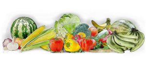 有机蔬菜细分产品市场调研报告